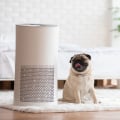 How to Choose the Best Air Filter for Pet-Filled Homes